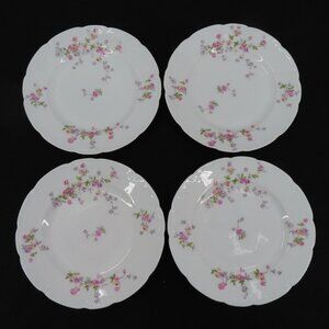 Basset Limoges Set of 4 Plates 8.5in Multicolor Rose Flower Swag Austria Scallop
